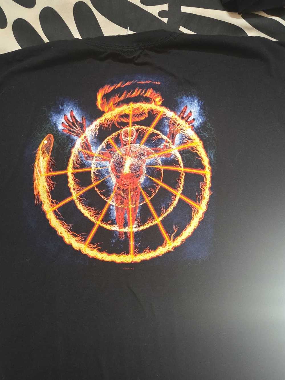 Band TOOL T Shirt, Black with Flame Logo - Picture 3 of 4